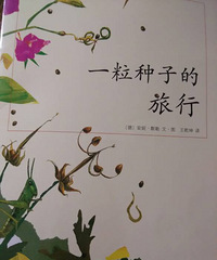 �����»汾�¡�һ�����ӵ�����