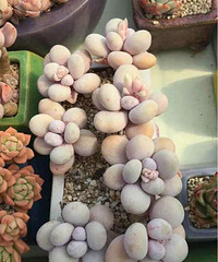 �������ҵ���