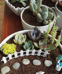 ������һ��դ��