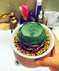 �½�С��գ�����Щƽ��������