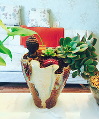 �½�С��գ�����Щƽ��������