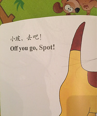 ���»汾�¡�С��ȥɢ����