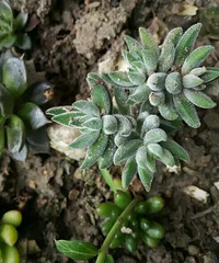 ���û������ɣ��������ƺ����ʺ����ǡ���