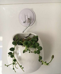 �����Ķ��⻹û����Ұ����������Ҷ�����ź�