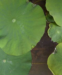 �ɻ������˲�֪��������ã�