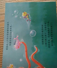 �����»汾�¡���������������