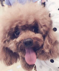 ���ȳ���������˼ҵĹ�����