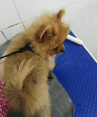 �����������������¼ң��������