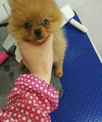 �����������������¼ң��������