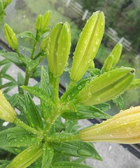 �Ͳ��ܿ�������