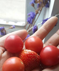 2015���С�ջ�