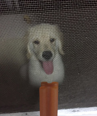 ���ȳ������+���ж�ħ���ɳ�