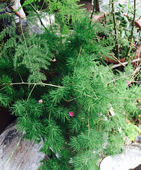 ���ϰֵ�С��԰3��