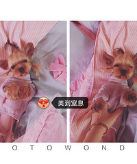 ����������������ǳ�:С��Ů�������䣺1��������ԣ�