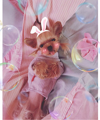 ����������������ǳ�:С��Ů�������䣺1��������ԣ�