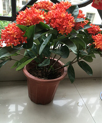 �������������