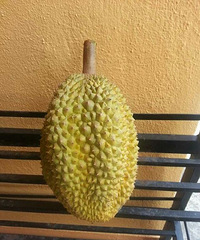 "买了个榴莲,然后就…"