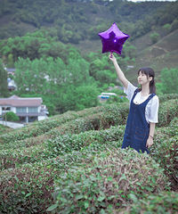 放心去飞
