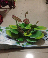 ��5�»汾���Ҳ�Ҫ������