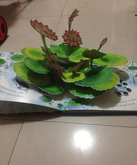 ���黹������