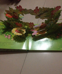 ��5�»汾��ëë��ȥ����