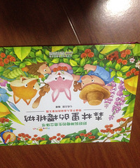 ��5�»汾��ɭ�����ӣ����