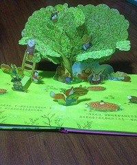 ��5�»汾��ɭ�����ӣ����