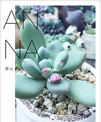 �����ҵĶ�������