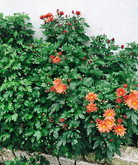 �����ʲôѽ����������Ư����