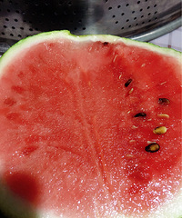 ����������10�㡿+�Դ�����