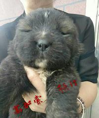 �߼�����Ȯ