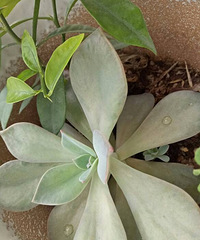 ����ʲô���⣿