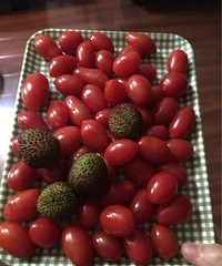 ������10�㡿