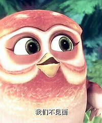 ��˫����������