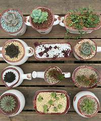 ���װ�����������������״��������������