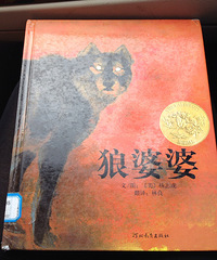 ��6�»汾��������