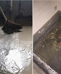 [Ͷ��]ס�ڶ�¥��ֱ���� 15���˼ҵĴ�㶼�����Ҽ�