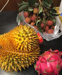 �������������