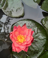 �ҵ���άɯ�����꿪���Ķ��ˡ�������������