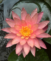 �ҵ���άɯ�����꿪���Ķ��ˡ�������������