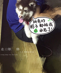 ��Բ�ɳ���