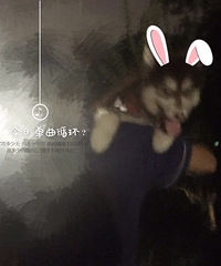 ��Բ�ɳ���