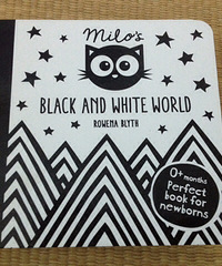 ��6�»汾��black and white world