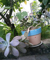 �㲻����׮��