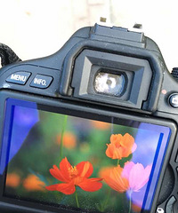 �����쵽����һֱ��·��