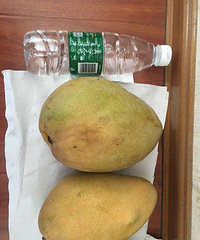 �����쵽����һֱ��·��