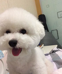 �����һ�����һֻ���ܱ���