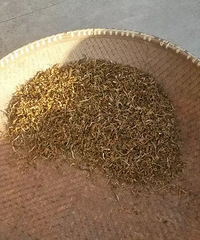 就是喜欢吃柴火炖的大灶头土猪肉 它就在绍兴的大山里