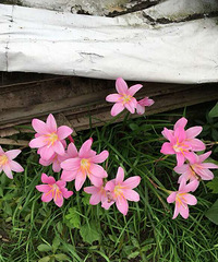 ɶ������֪����