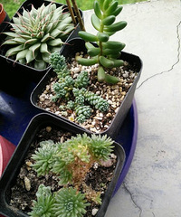 �������ˣ�555555